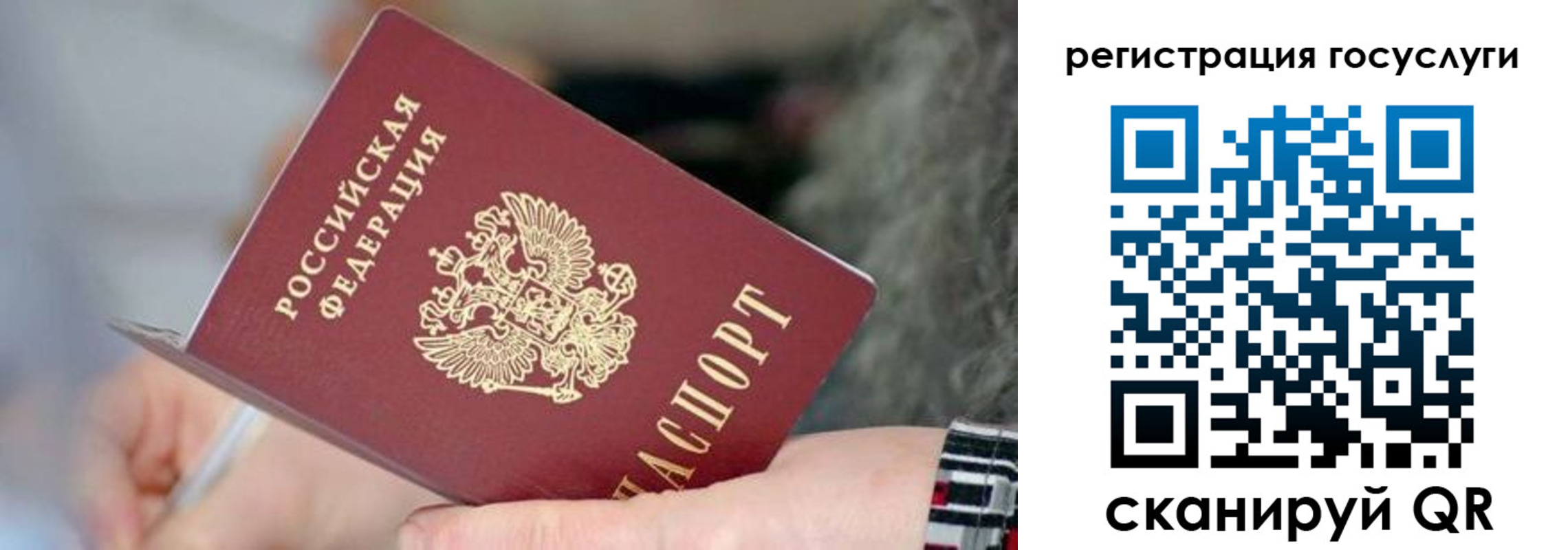 временная регистрация в квартире в Курской области